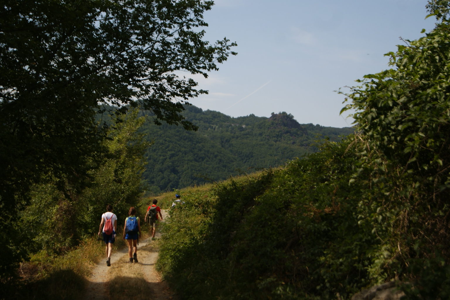 naturalmente estate