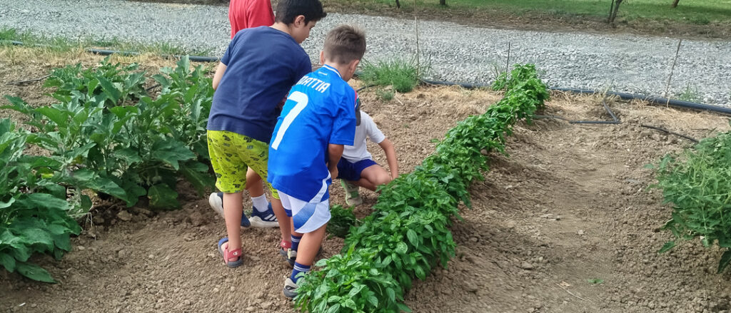Bambini osservano le piante dell’orto durante un’attività del centro estivo Bosco Gerolo.